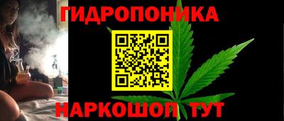 шишки Тула
